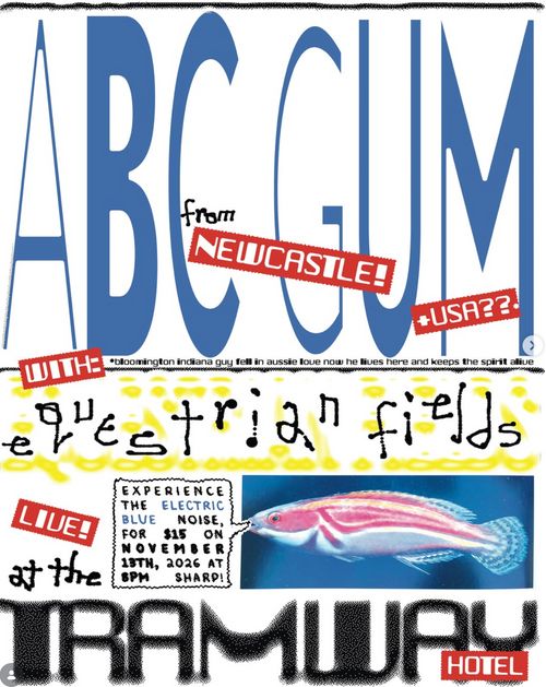 ABC Gum (Newie) + Equestrian Fields