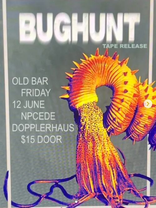 BUGHUNT (launch), NPCEDEDop + DOPPLERHAUS