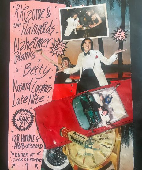 Rhizome & The Flavonoids, Alzheimer Blanks + more @ House show