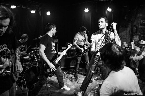 Condor (FR/USA), Elvis 2, Lothario & Shiners