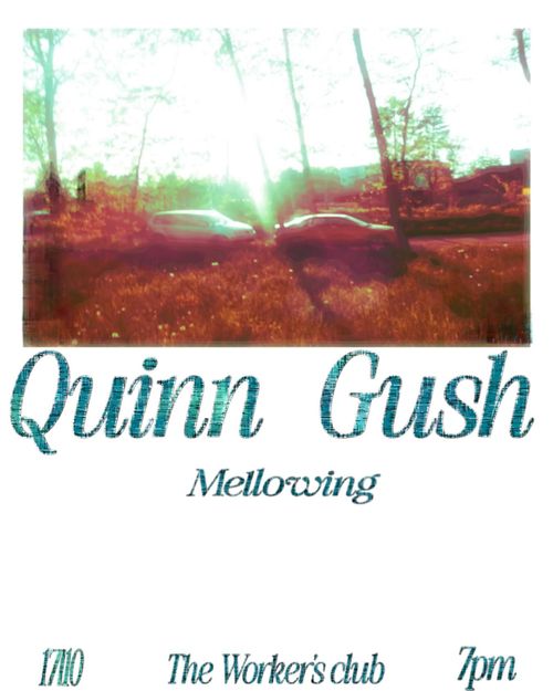 Quinn, Gush, Mellowing