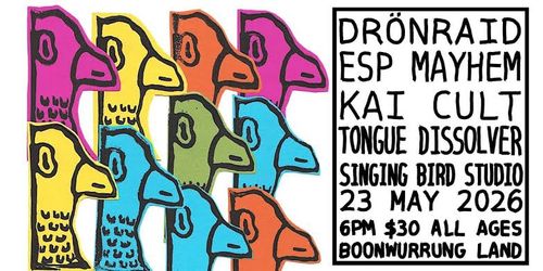 Drönraid, ESP Mayhem, Kai Cult & Tongue Dissolver @ Singing Bird AA